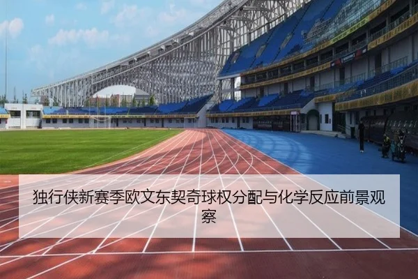 独行侠新赛季欧文东契奇球权分配与化学反应前景观察